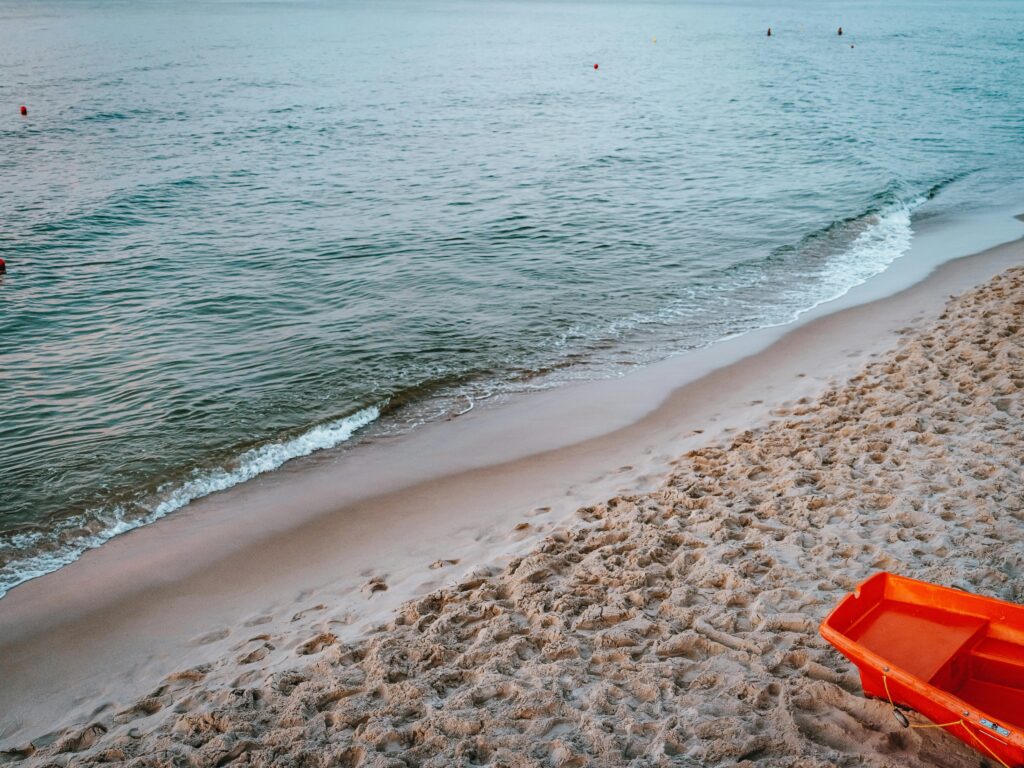 Seven Students Drown in Alexandria Sea Incident