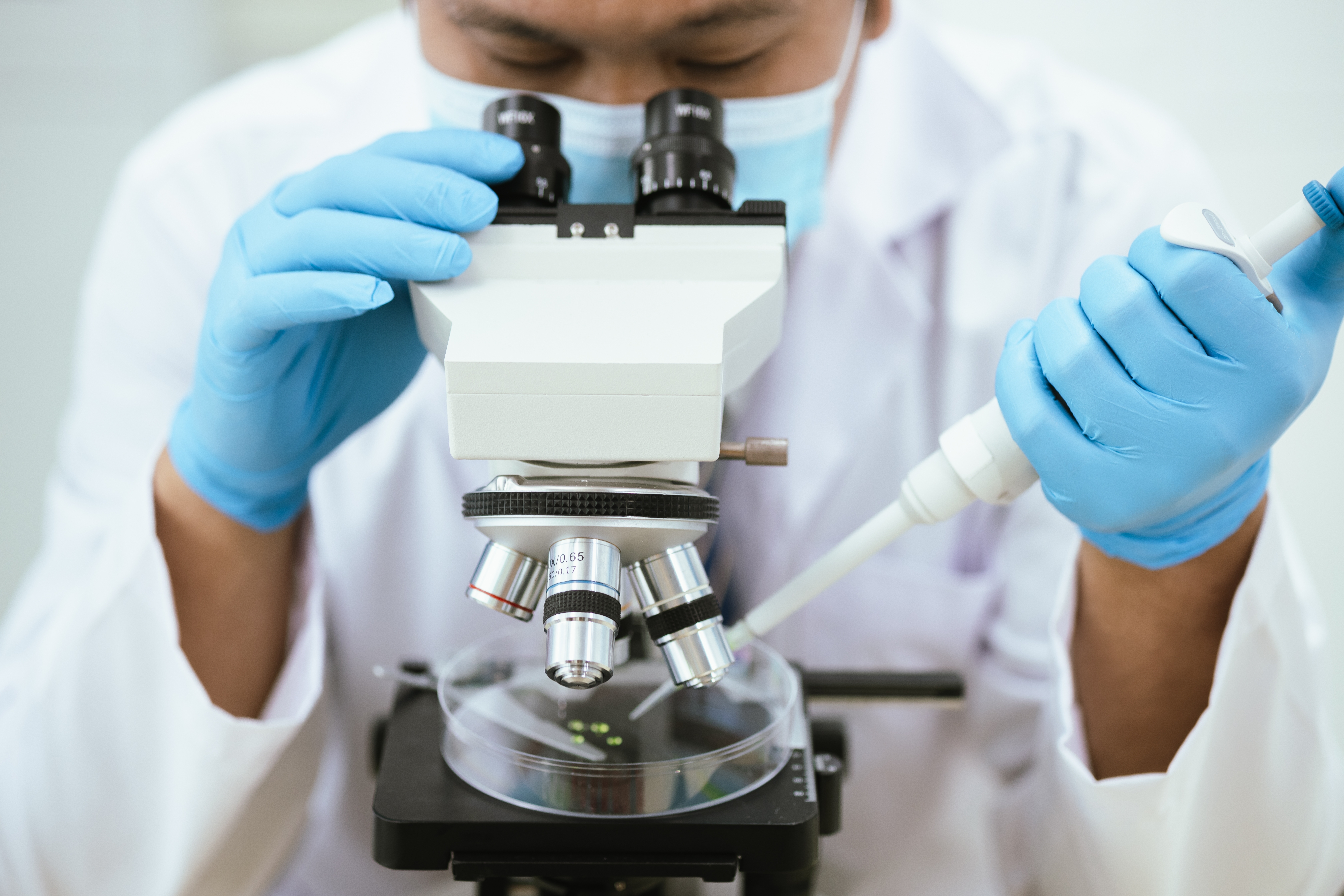 Lab-grown human embryo model generates blood cells in major medical breakthrough